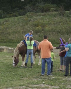 Auction ponyrides